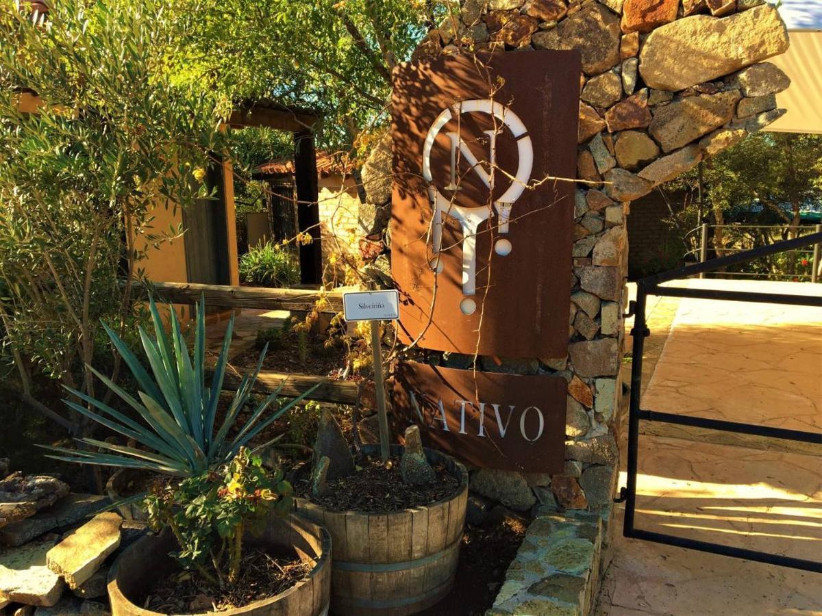 Suites Nativo - Beautiful Vineyard & Valley View Valle de Guadalupe Luaran gambar